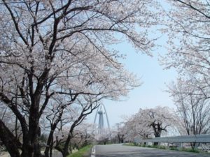 木曽川堤