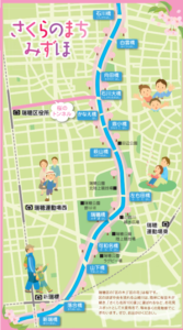 山崎川桜地図
