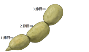 ソレダメ レンコンのパワーで花粉症改善 見分け方は 食べ方は Honulog ホヌログ