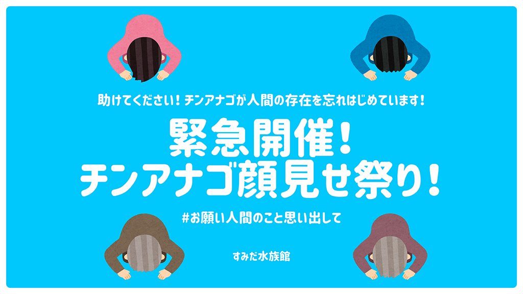 すみだ水族館チンアナゴ顔見せ祭り いつ開催 いくら どこで開催 Honulog ホヌログ